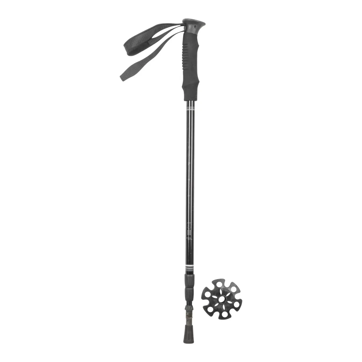 ALPS Mountaineering Explorer Trekking Pole