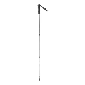 ALPS Mountaineering Explorer Trekking Pole