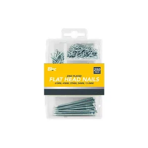 BLOC ASSORTED FLAT HEAD NAILS 250 PACK