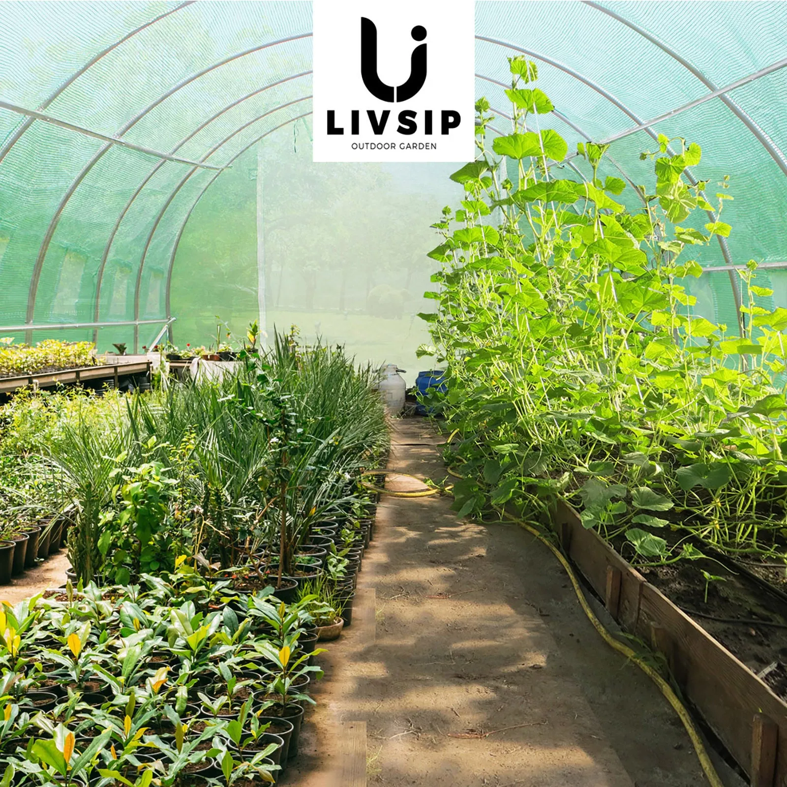 Livsip Greenhouse 6MX3M Walk in Green House Tunnel Plant Garden Shed Storage