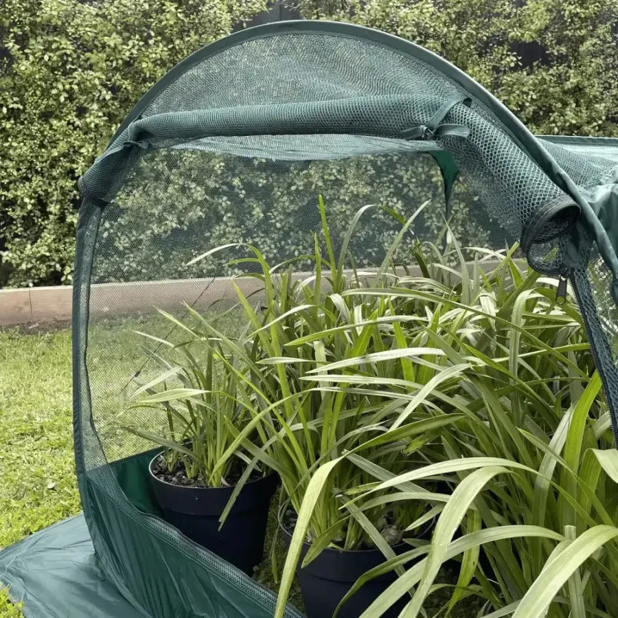 Maze Net Garden Cover - 1.25m² x 0.92m High
