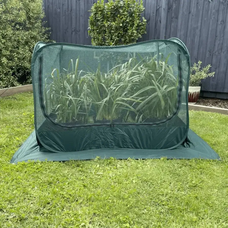 Maze Net Garden Cover - 1.25m² x 0.92m High
