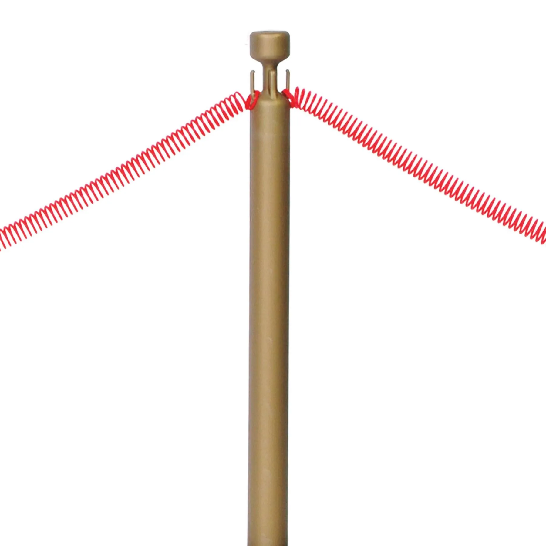Red Rope Stanchion Party Set